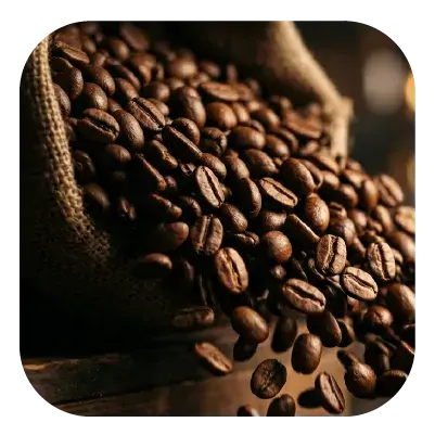 collection-img
